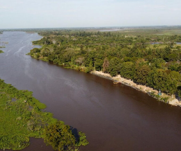 La Provincia avanza en la protección de sus humedales