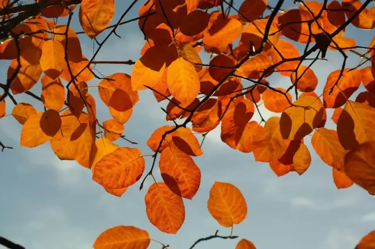 Se terminó el verano
