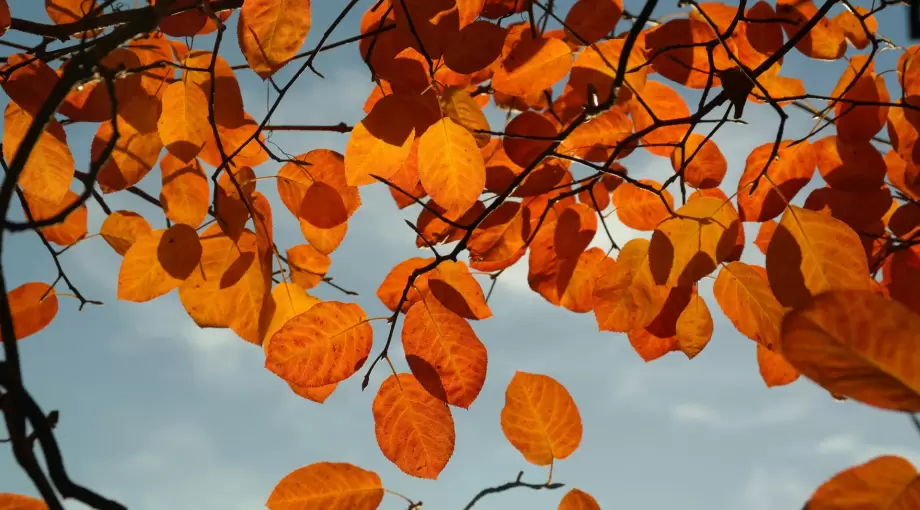 Se terminó el verano